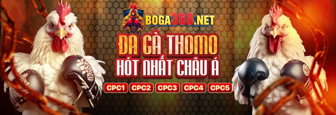 Ưu đãi đá gà 33win68 code