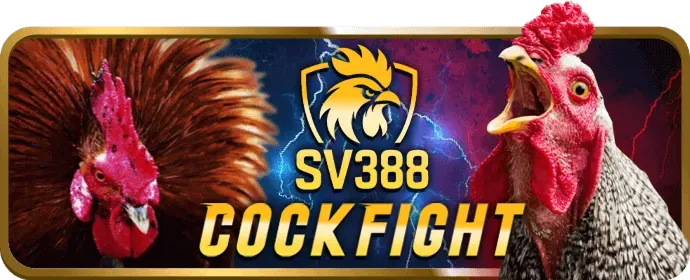 Đọc kỹ điều khoản và điều kiện 33win68 code